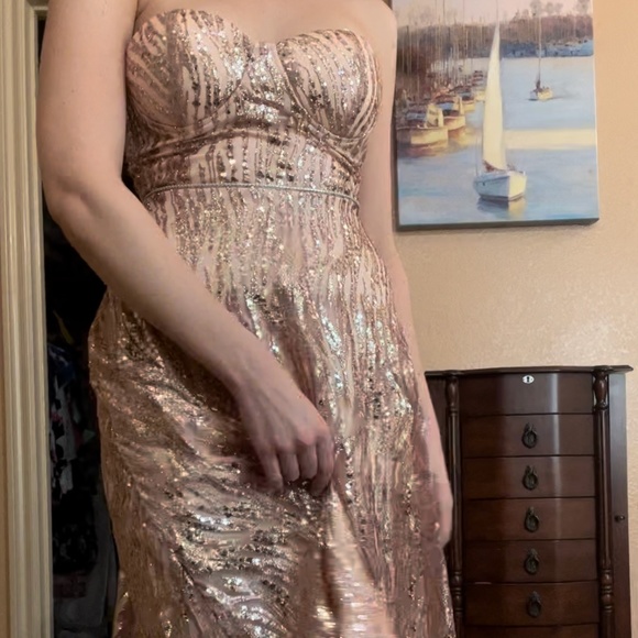 Rose Gold, Strapless, Midi Length Dress - Picture 3 of 4